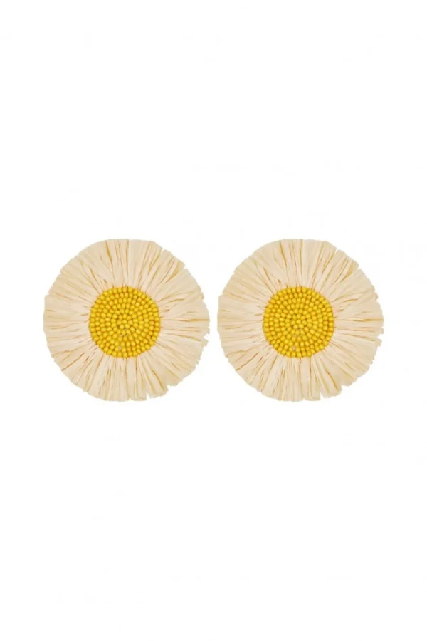PENDIENTES GERBERASALMON*Coosy Online